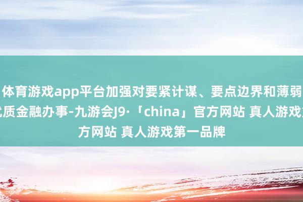 体育游戏app平台加强对要紧计谋、要点边界和薄弱表率的优质金融办事-九游会J9·「china」官方网站 真人游戏第一品牌